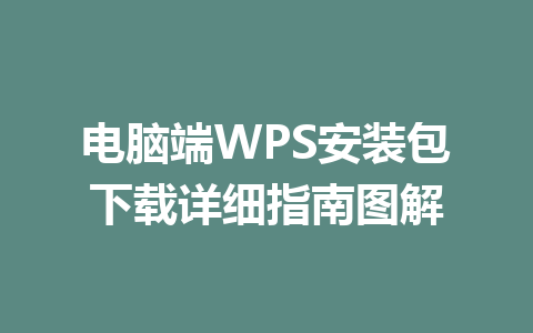 电脑端WPS安装包下载详细指南图解 一