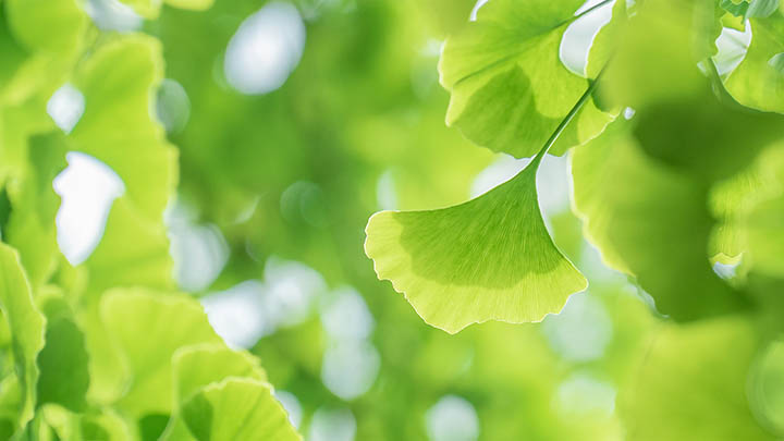 api img 6968ab690e13c