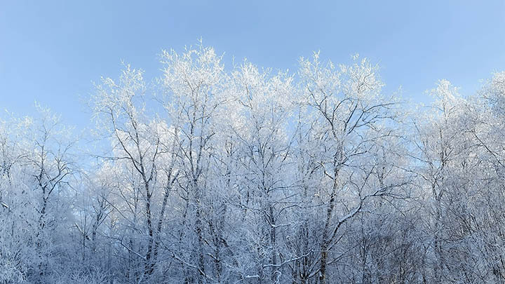 api img 6969fbbd9c3a7