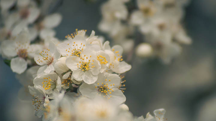 如何下载红色WPS？最新教程为您揭晓如何快速获取2026年高效办公软件！ 二