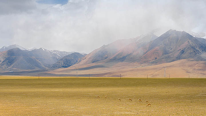 WPS下载路径怎么设置？最新图文指南 二