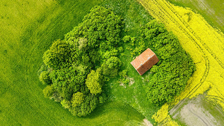 WPS下载检索历史教程+官方指导 二