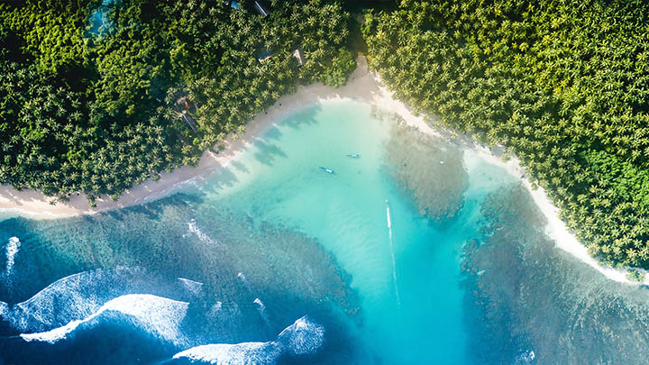 WPS公式下载全攻略：工具推荐+导出技巧双管齐下解决方案 二