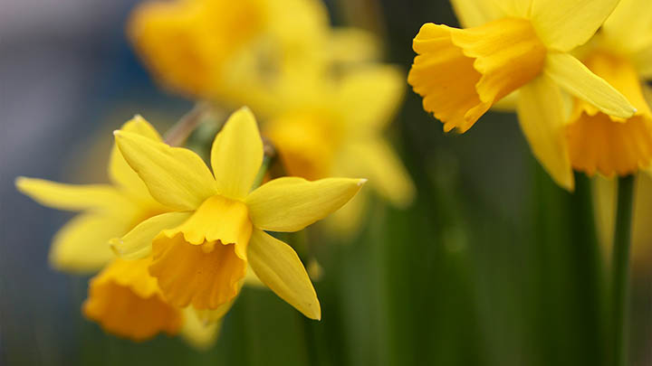 新下载的WPS怎么用？超详细教程解答 二