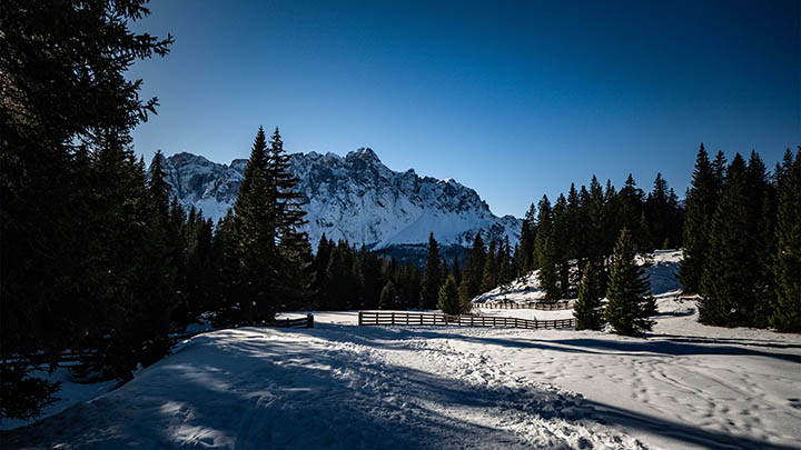 WPS下载兼容全指南：简单三步搞定！适配所有操作系统2026 二