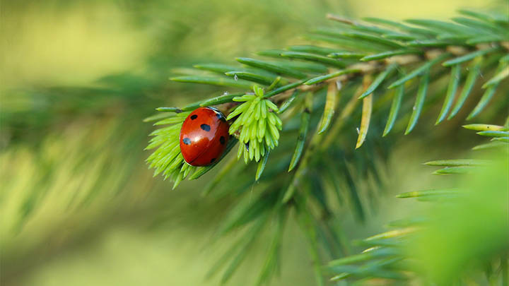 WPS附件如何下载？详细教程教你轻松搞定！ 二