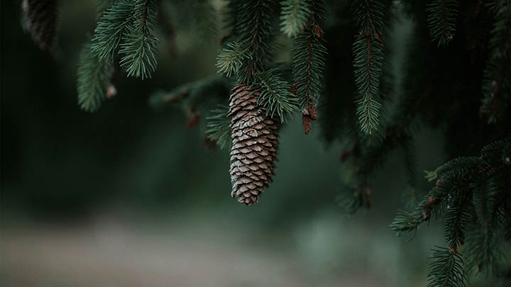 如何用WPS轻松下载PDF文件全攻略图解 二