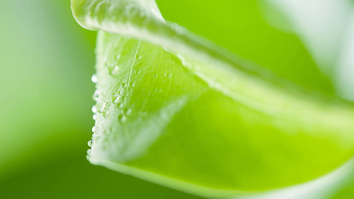 iPhone版WPS快速下载指南三步法2026年最新 二