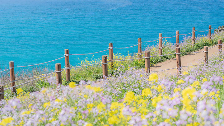 如何下载WPS Office？新用户指南：下载破解、安装失败、版本选择问题一网打尽 二