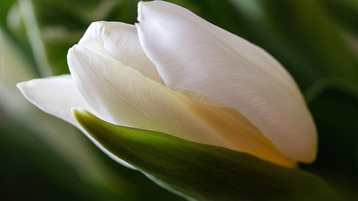 WPS如何下载APP？最新3步快速教程 二