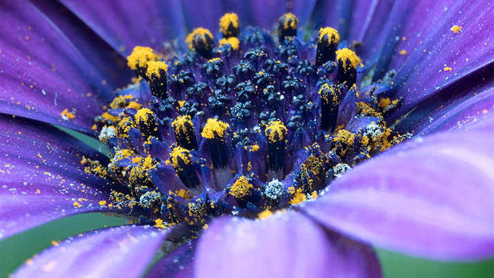 微软WPS下载？掌握2026年最新官方指南技巧 二