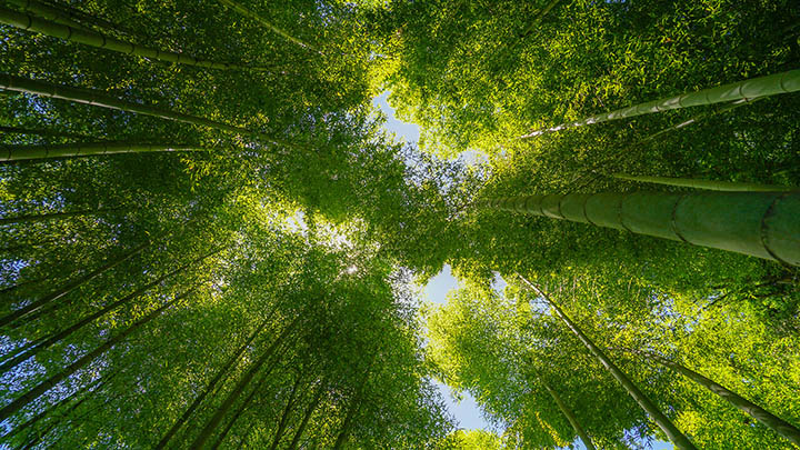 最新WPS怎么下载？官方渠道+离线安装包获取技巧 二