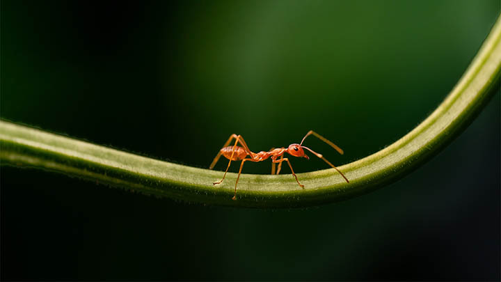 WPS如何下载教案？详细指南让你轻松搞定 二