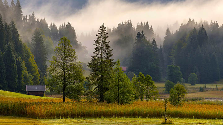 最新版WPS Office免费下载指南Win/Mac均适用 二