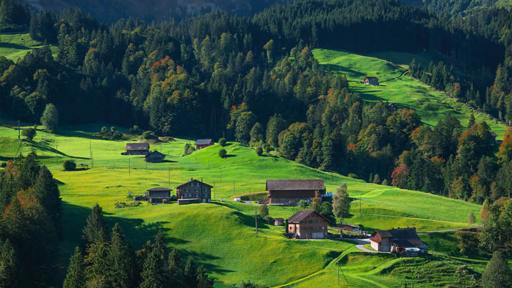 正版WPS下载渠道知多少？系统要求+授权方式详解 二