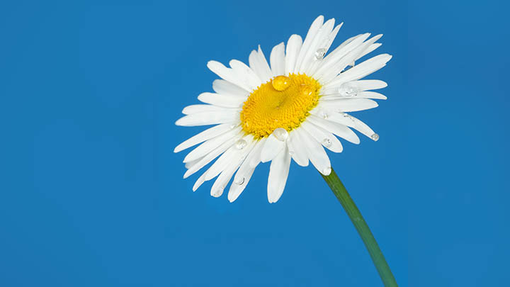 WPS下载全攻略+高效操作路径 二