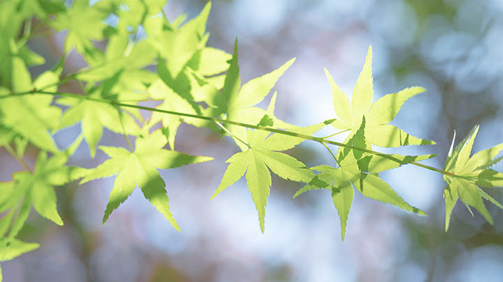 WPS最新版下载教程：从零开始掌握快速安装全流程图解 二